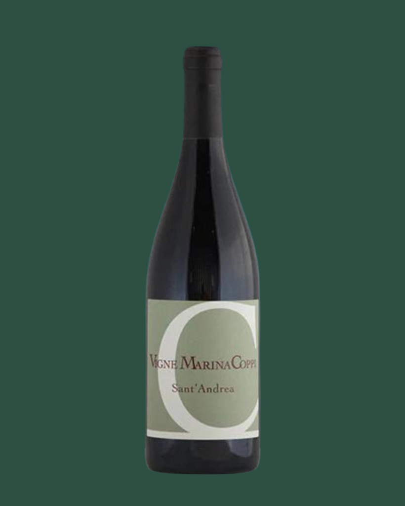 2021 Barbera Sant' Andrea